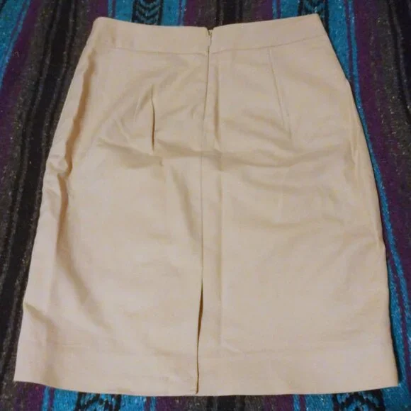 The Limited Beige Lined Pencil Skirt 2 Quiet Luxury Office Chic Minimalist - Picture 6 of 9